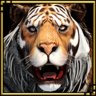 Eye of the Tiger