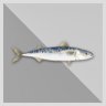 1.000 Tons Mackerel