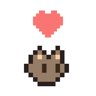 New Companion