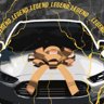 Car in the Bag