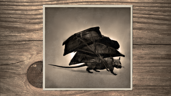 Pack Rat