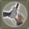 Bad luck to kill a sea bird!