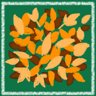 Looks like fall