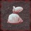Collect 20 coins