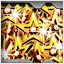 Star Dust Memories