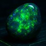 The Lost Opal