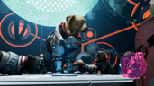 Canine Confusion