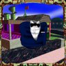 Paradise Stylish Rank
