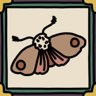 Moth