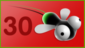 Many flies!