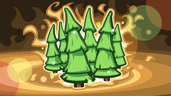 Conifer Forest