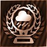 THE RAIN MASTER
