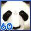 Giant Pandas