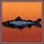 Fish Story