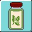 Regular Thyme