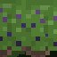 Berries for Life