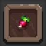 Sprout Scout