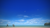 Wayfarer