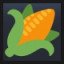 Ear of Corn