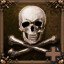 A true pirate!