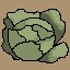 Bring cabbage using second method