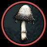Mold