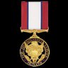 Distinguished Service Medal
