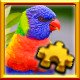 Lorikeet Complete!