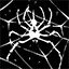 I Hate Spiders
