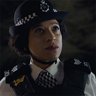 Brush With The Law