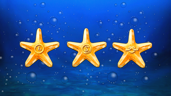 Guided by the stars