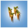 Carrots