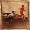 TR1 | Dances With Wolves