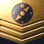 Gold Coordinator