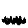 Click Click Chicken