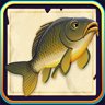Fly Fisher	