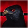 Nest of the Hawk