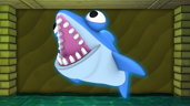 Shark Boss