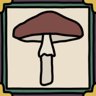 A mushroom