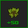 Herbalist