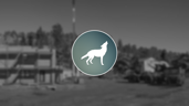 Lead Wolf