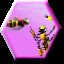 BEEKYR (CLASSIC) RULES