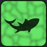 Swimming with sharks