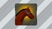 Jockey