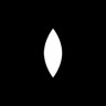 Seed
