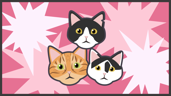 Furiends Furever!