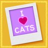 LOVE FOR CATS