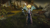The Gilded Fire-Wizard