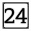 Level 24