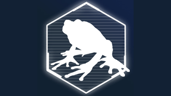 Space frogs
